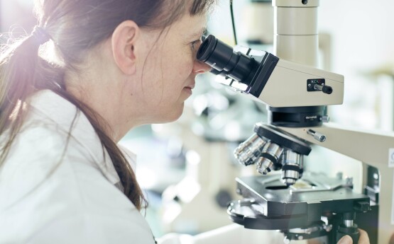 Student looking through microscope