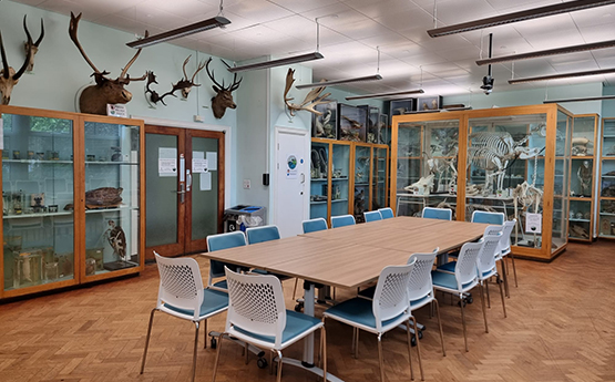 Swansea University Zoology Museum 