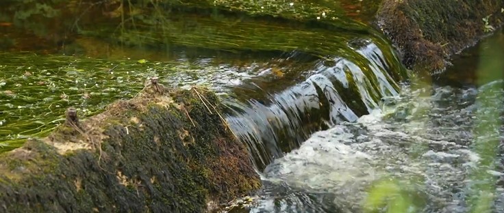 Picture of a river flowing through a green landscape 