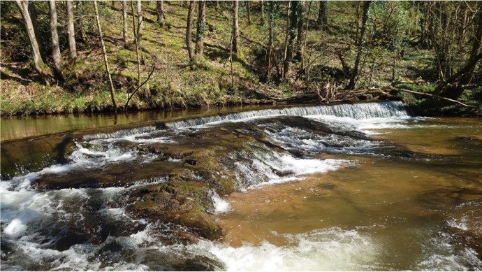 flowing river in Wales