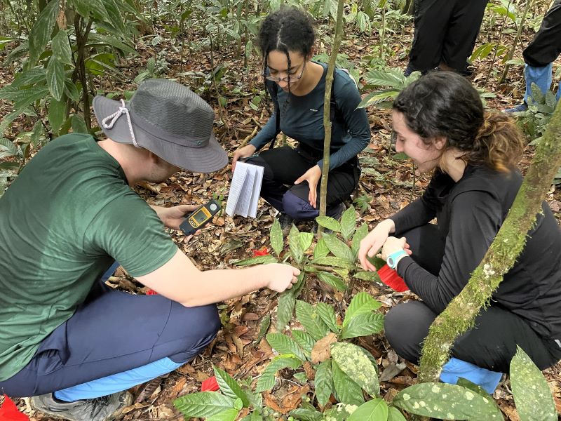 Students in the field in Borneo