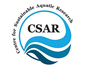 CSAR Logo