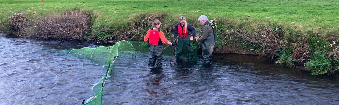 3 people wading in a river with a large net