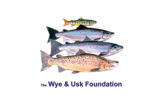 Wye and Usk Foundation Logo