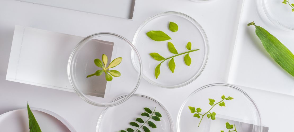 Green Lab