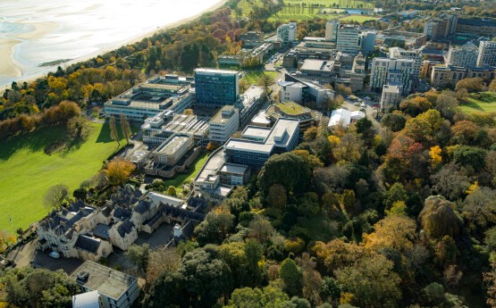 Drone view of Singleton Campus