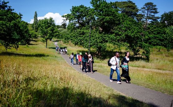 Students walking through the park.