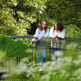 Two people leaning on a bridge in a green garden setting