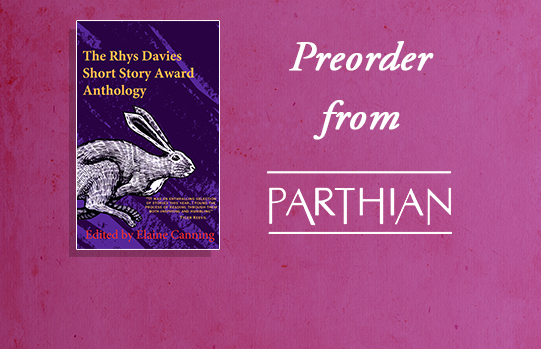Temporary front cover image of The Rhys Davies Short Story Award Anthology 2026