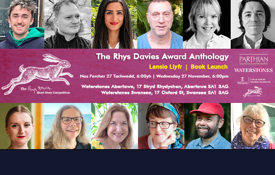 Image of the 12 finalists that feature in the anthology