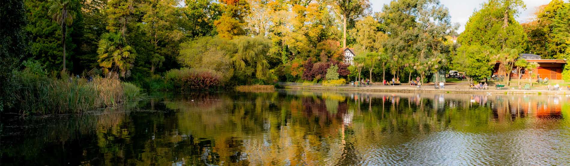 An image of a lake in Swansea