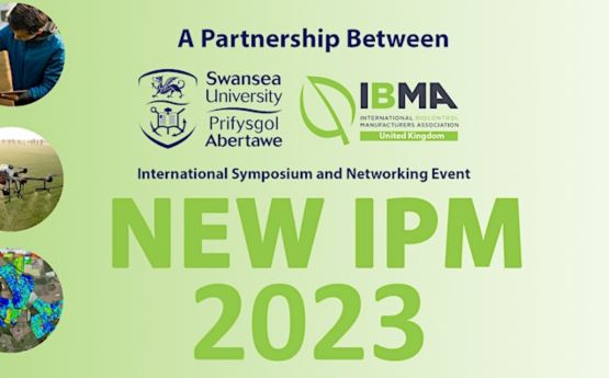 New IPM 23