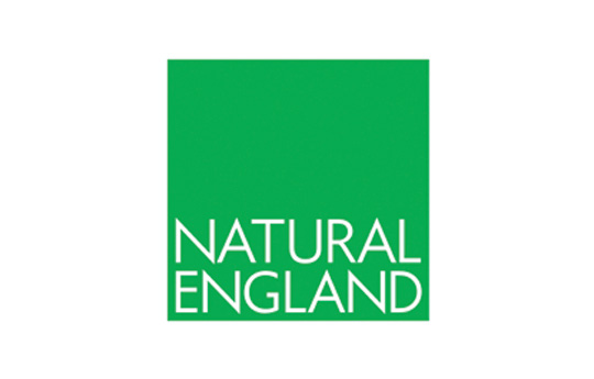 Logo Lloegr Naturiol