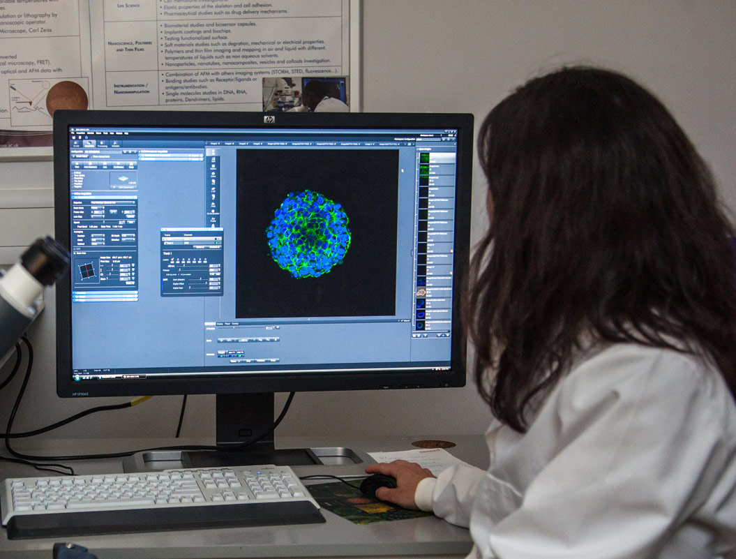 Student working in lab, looking at a monitor