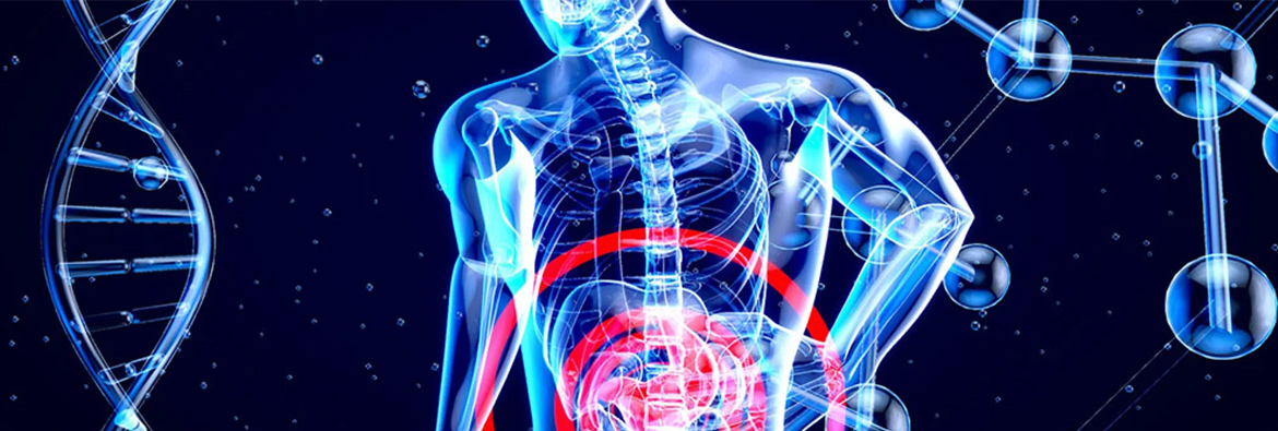 Colourful image of a skeleton