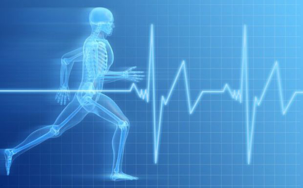 Graffeg o redeg dynol