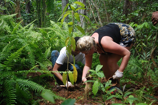 Students in forest