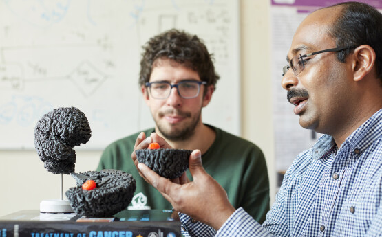 Lecturer showing student an example of a brain