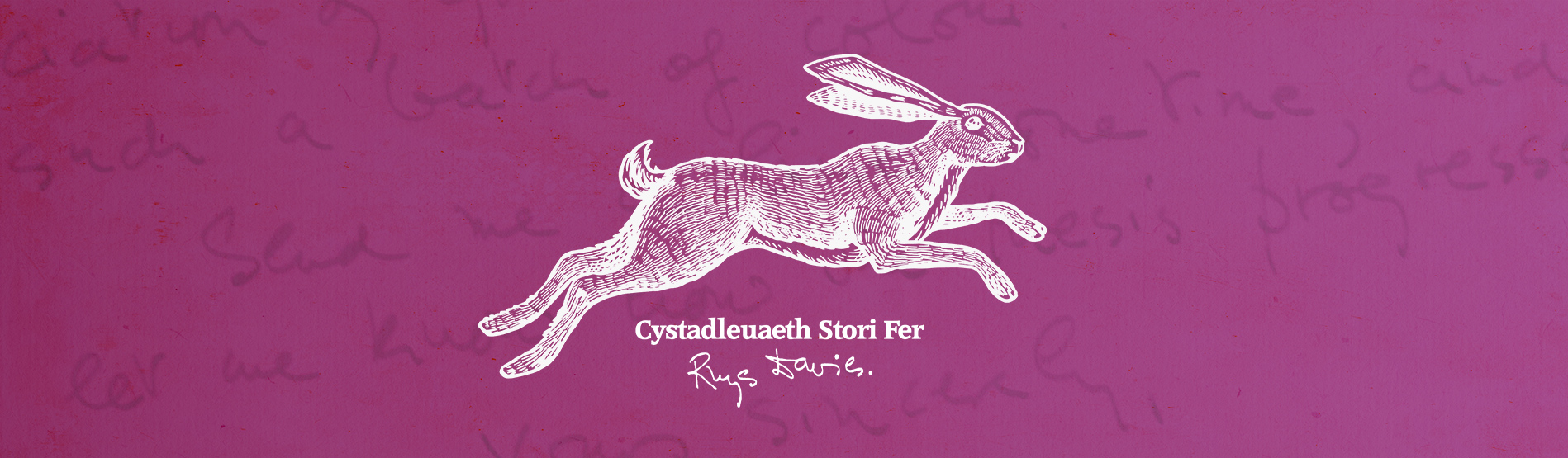 Cystadleuaeth Stori Fer Rhys Davies