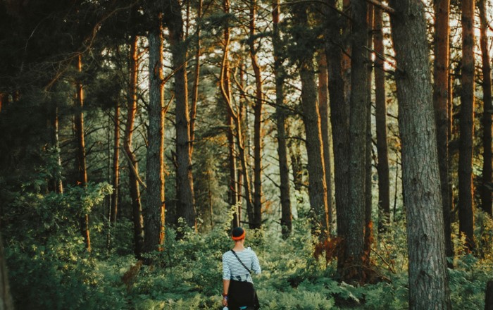 Menyw yn cerdded mewn coetir