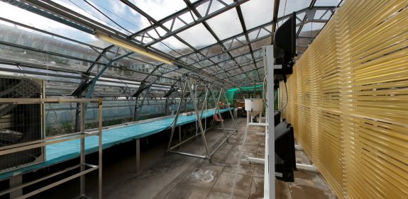 Cyfleuster ymchwil tŷ gwydr gyda bioffensys a systemau tyfu planhigion
