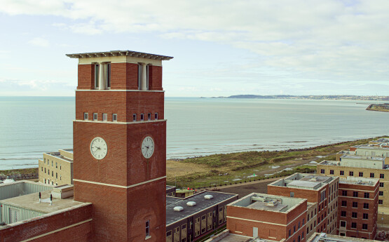 Bay clock tower