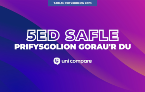 5ed safle prifysgolion gorau'r du