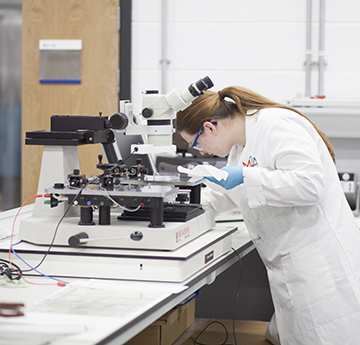 Postgraduate Research student using a microscope