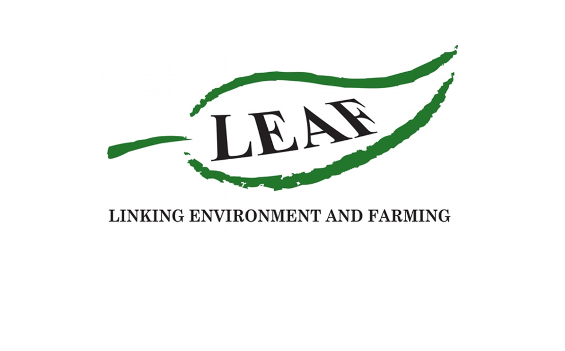 LEAF logo