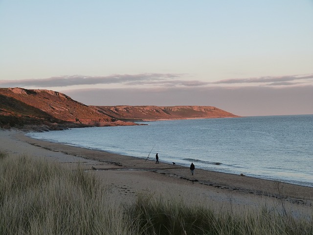 Gower