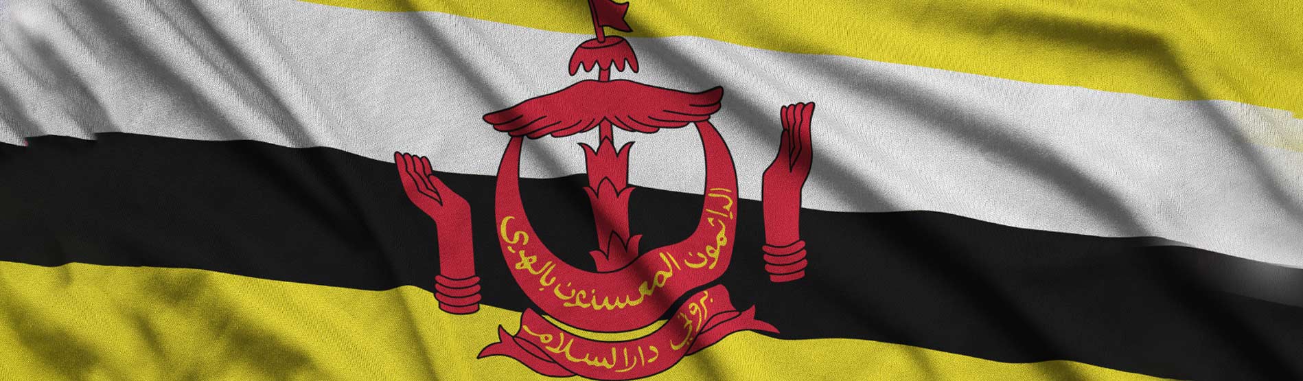 Brunei Flag