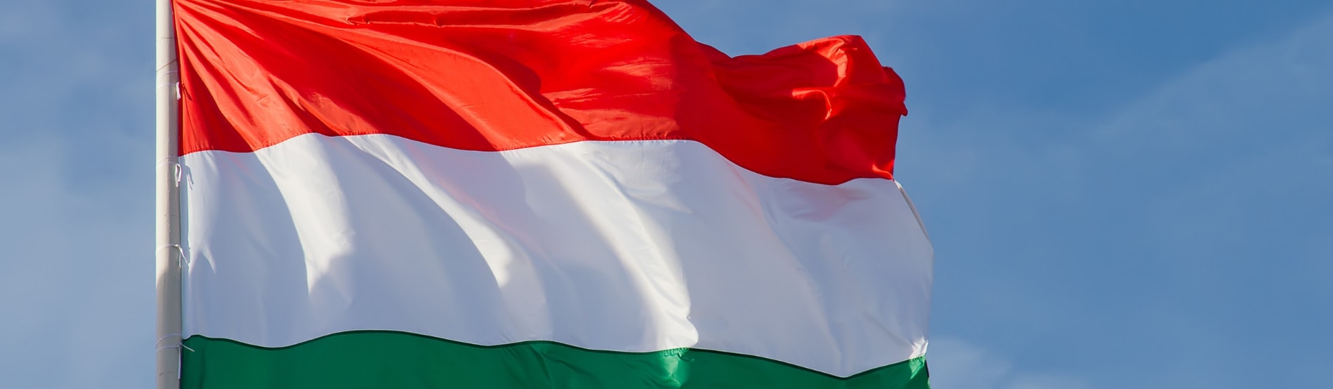 Hungarian Flag