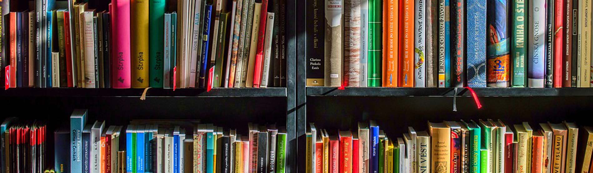 A selection of colourful books on a shelf in a library