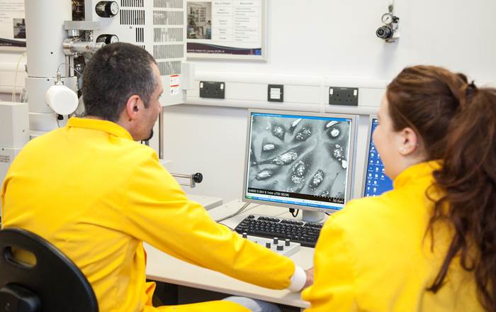 Scientists from the Research Biology and Reproductive Biology Group carry out uterine cancer cell analysis at Swansea University’s Centre for Nanohealth. 