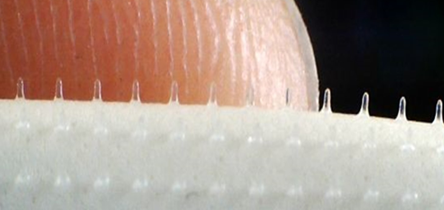 Microneedles: these are tiny needles, measured in millionths of a metre (μm), designed to deliver medicines through the skin. 