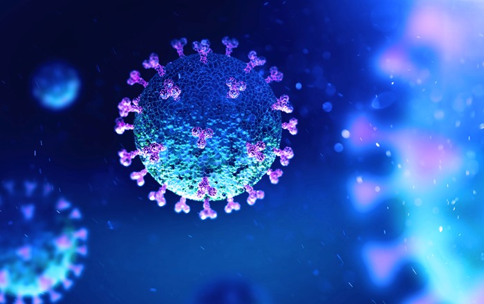 Coronavirus cell