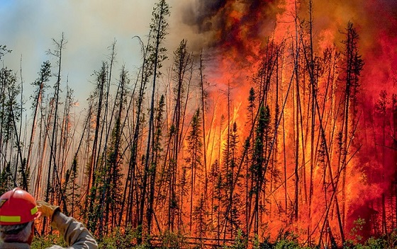 Man wearing protective gear with back to camera looking at wildfire burning through forest