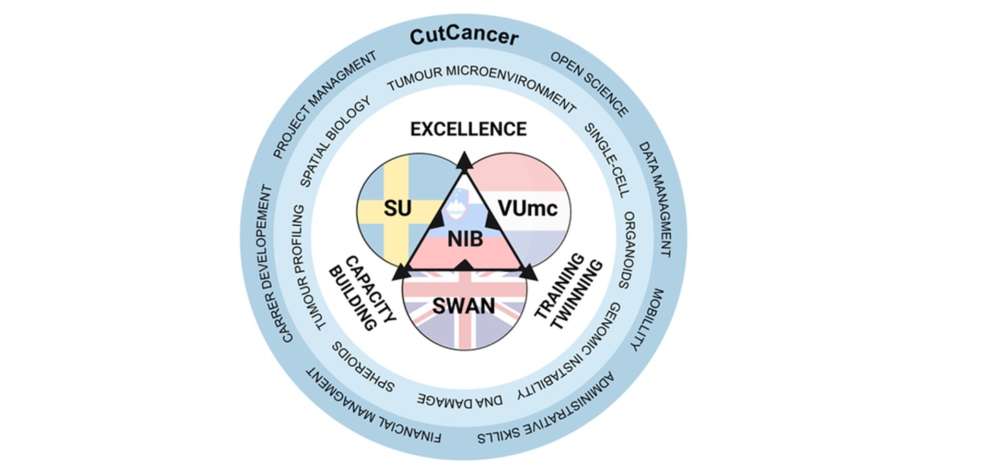 Infographic illustrating the CutCancer project with the NIB at the centre with its three partners around it working to achieve three main principles of excellence, capacity building and training twinning.