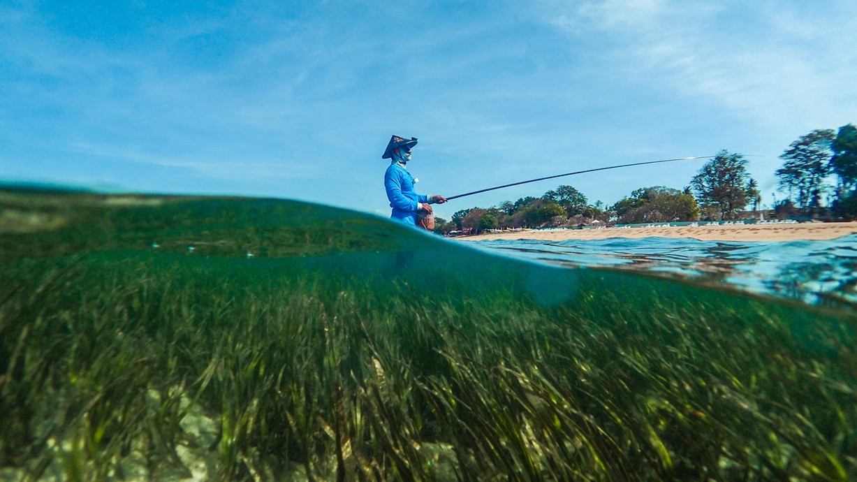 Fisher in seagrass (Enhalus acoroides), Sanur, Bali, Indonesia. Credit: Benjamin Jones | Project Seagrass.