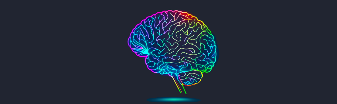 colourful brain