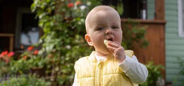 Baby eating apple