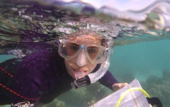 Student swimming underwater