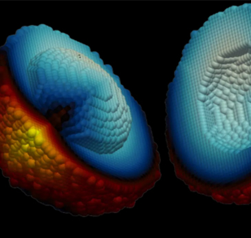 A graphic of a tumour