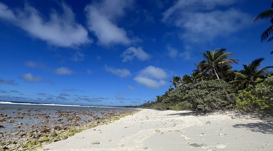 Sea turtle nesting beach in the Indian Ocean 