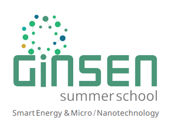 Ginsen Summer School