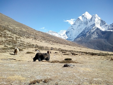 snowy mountains in Nepal