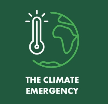 Icon of a globe and a thermometer against a green background