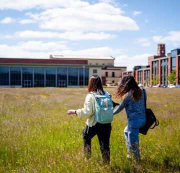 Two students walking through a flower meadow on Bay Campus.