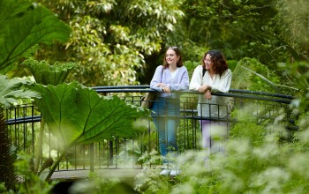 Two people on a bridge in nature 