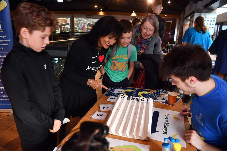 Children watching maggot race